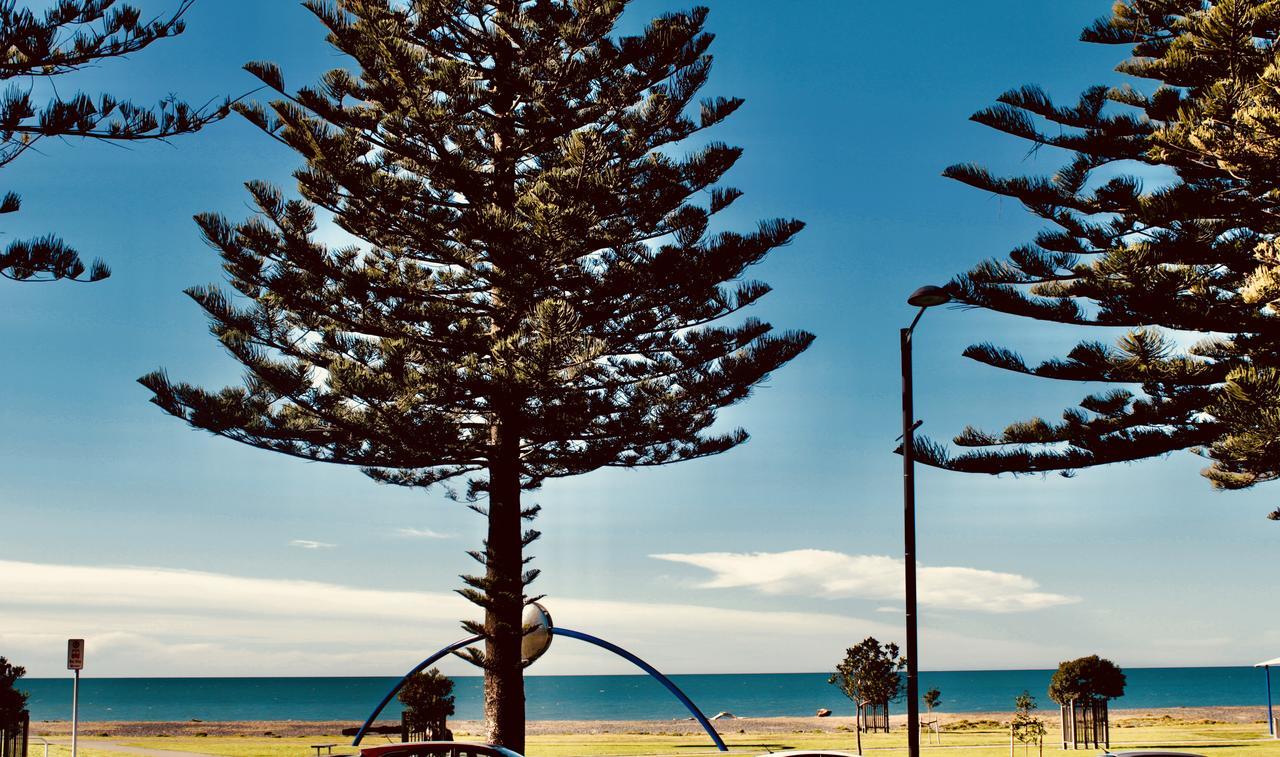 Hotel The Nautilus Napier Exterior foto View of the beach from the foreshore